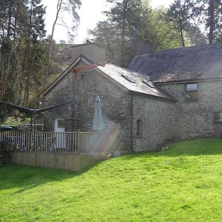 Blaentwrch Farmhouse Llanddewi-Brefi Екстер'єр фото